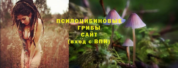 мдпв Магас
