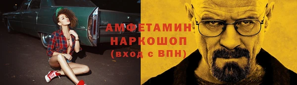 мдпв Магас