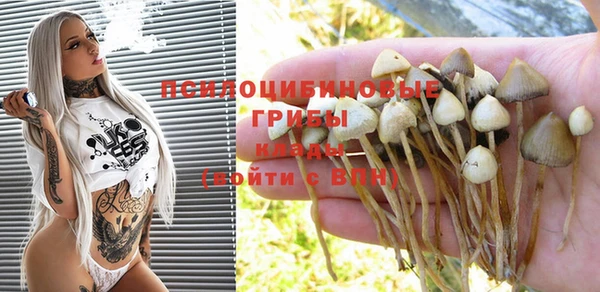 круглые Майский