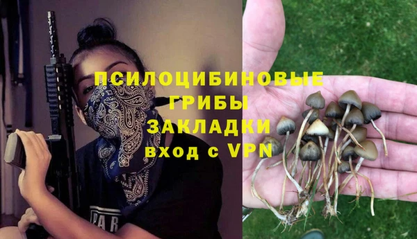 мдпв Магас