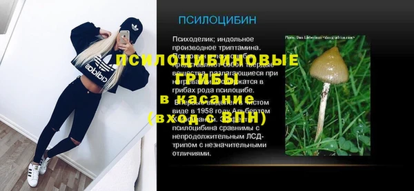 мдпв Магас