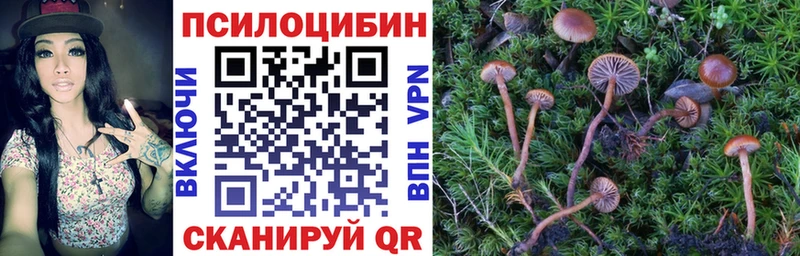 Псилоцибиновые грибы Magic Shrooms  Сысерть 